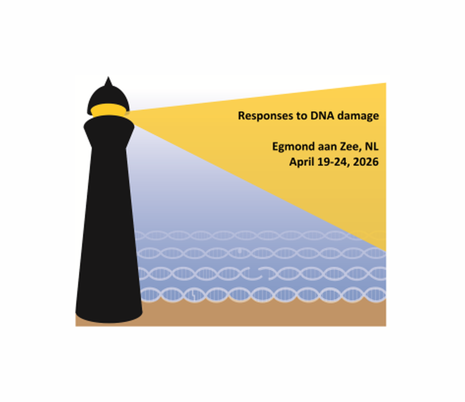 12th Quinquennial Conference on DNA repair