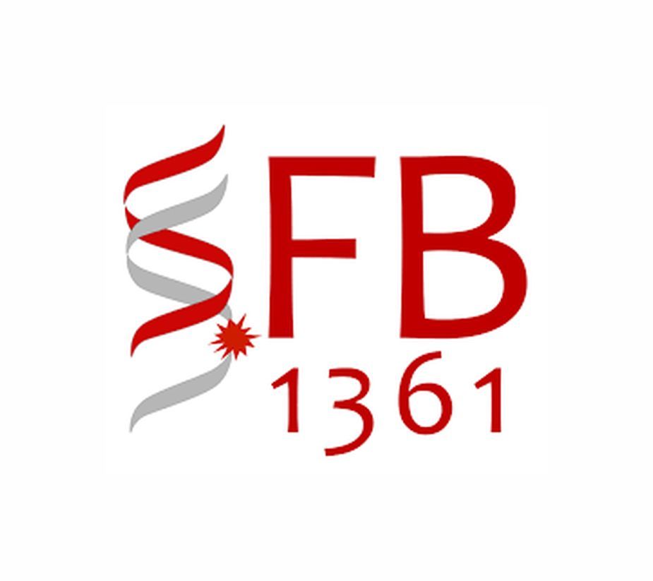 IMB & SFB 1361 Conference – The evil within: Regulation and repair of endogenous DNA damage